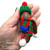Female Eclectus