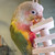 Mango’s A Toy A Day 