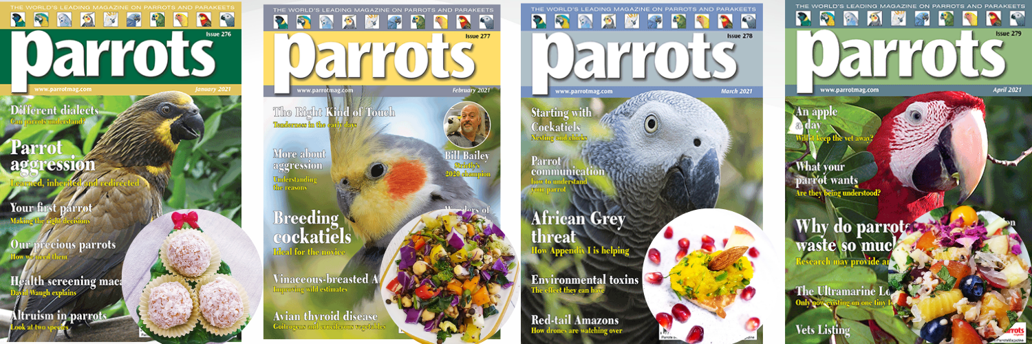 publications-in-parrot-magazine.png