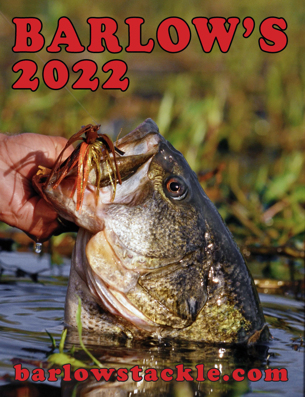 Fishing Catalog 