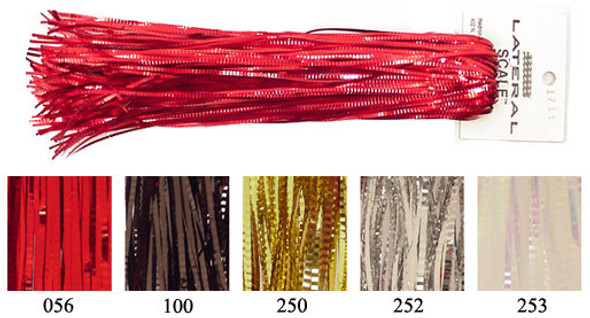 Lateral Scale  Lateral Scale