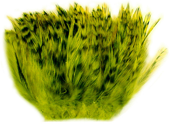  Barred Strung Neck Hackle