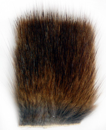  Muskrat Back