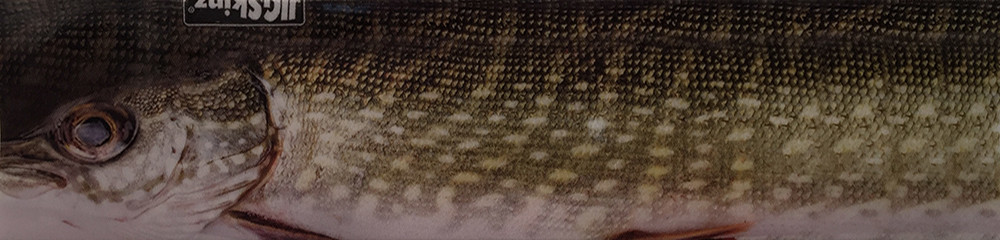 JigSkinz - Medium  JigSkinz - Medium