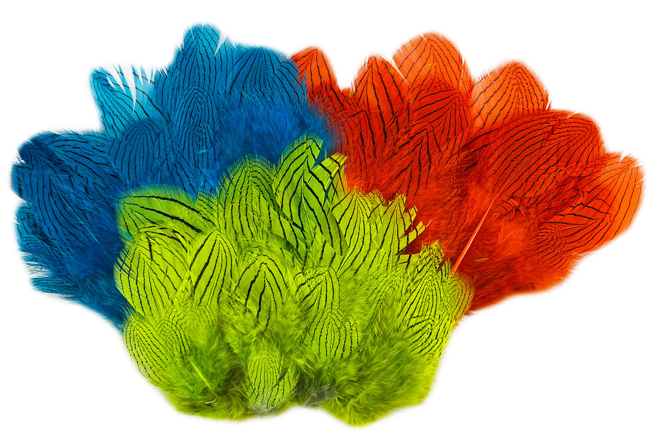  Hareline Strung Silver Pheasant Body Feathers