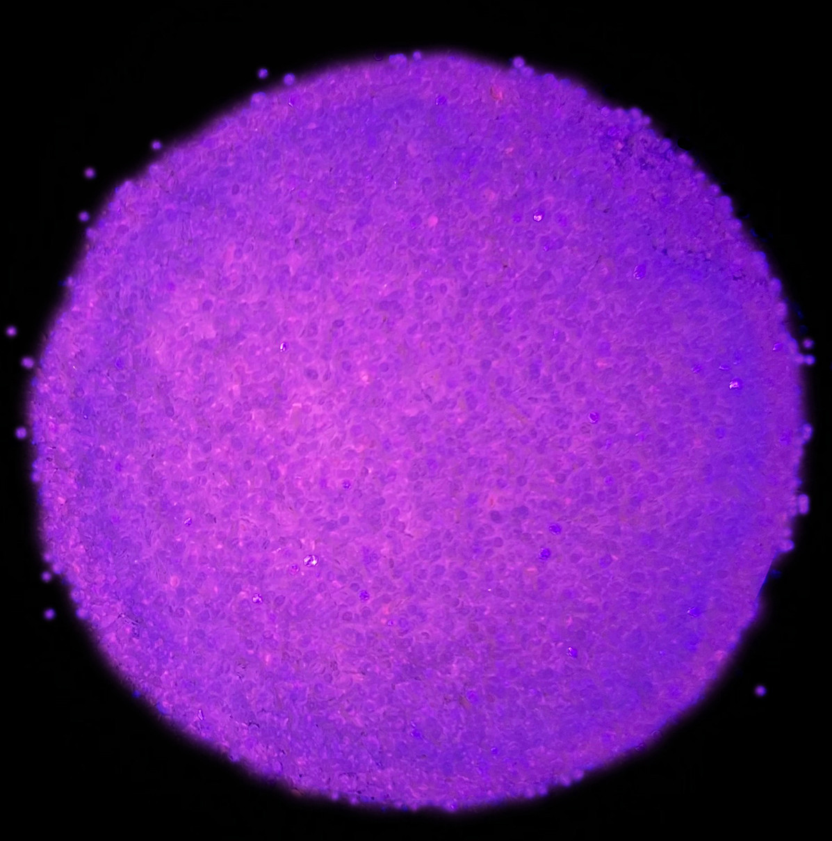 Barlows Small Glow Glitter - 2oz. Bottle