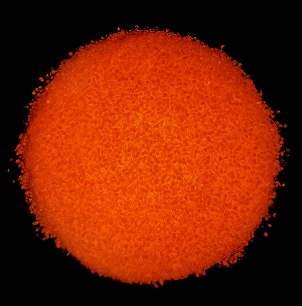 Barlows Small Glow Glitter - 8oz. Bottle