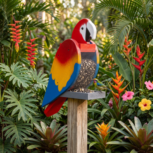 Amish crafted wooden bird feeder in Macaw design, pictured in tropical garden setting