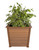 Amish handcrafted poly all-weather planter in mahogany, pictured with plant