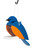 Zero Maintenance All-weather Poly Bird Feeder in Bluebird Design