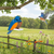 Amish made all-weather poly bird feeder in bluebird design. Pictured in old meadow and wildflowers background.