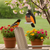 Poly Bird Feeder - Oriole - Amish Handcrafted