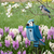 Wood bird shaped birdhouse in blue jay design, Amish crafted in the USA. Pictured in spring flower bed.