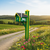 Amish made poly tractor theme mailbox in John Deere green and yellow. Pictured at end of a country driveway with wildflowers.
