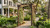 Cambridge cedar arbor pictured with walnut stain, in a southern mansion garden setting