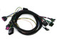 Fisher Plug-In Harness Kit HIR2/HB3 69804-1
