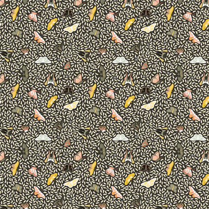 Butterfly Collection Fabric Design (Charcoal colorway)