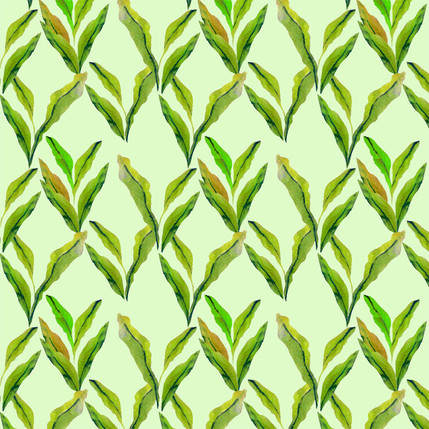 Carisma Radicans Tropical Fabric Design (Fern colorway)