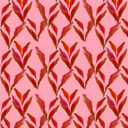 Carisma Radicans Fabric Design (Ruby Red colorway)