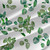 Floral fabric print - Pilea in Green Floral fabric print - Pilea in Green