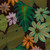 Tropical fabric print - Schefflera in Verdigris colorway. Tropical fabric print - Schefflera in Verdigris colorway.