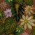 Tropical fabric print - Schefflera in Cacoa colorway. Tropical fabric print - Schefflera in Cacoa colorway.