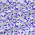 Childrens fabric print - Marine Life in Amethyst colorway Childrens fabric print - Marine Life in Amethyst colorway