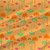Tropical fabric print - Casablanca in Yellow colorway. Tropical fabric print - Casablanca in Yellow colorway.
