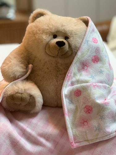 Fleece Baby Blanket Pattern | Free Project