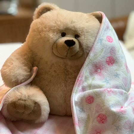 Fleece Baby Blanket Pattern | Free Project
