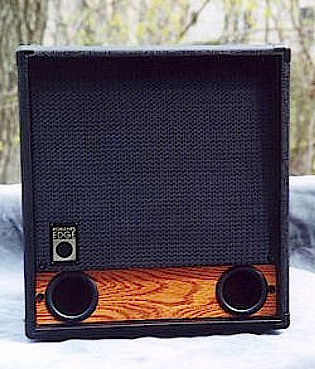 Raezer S Edge Bass 12 Speaker Cabinet Soundislandmusic Com