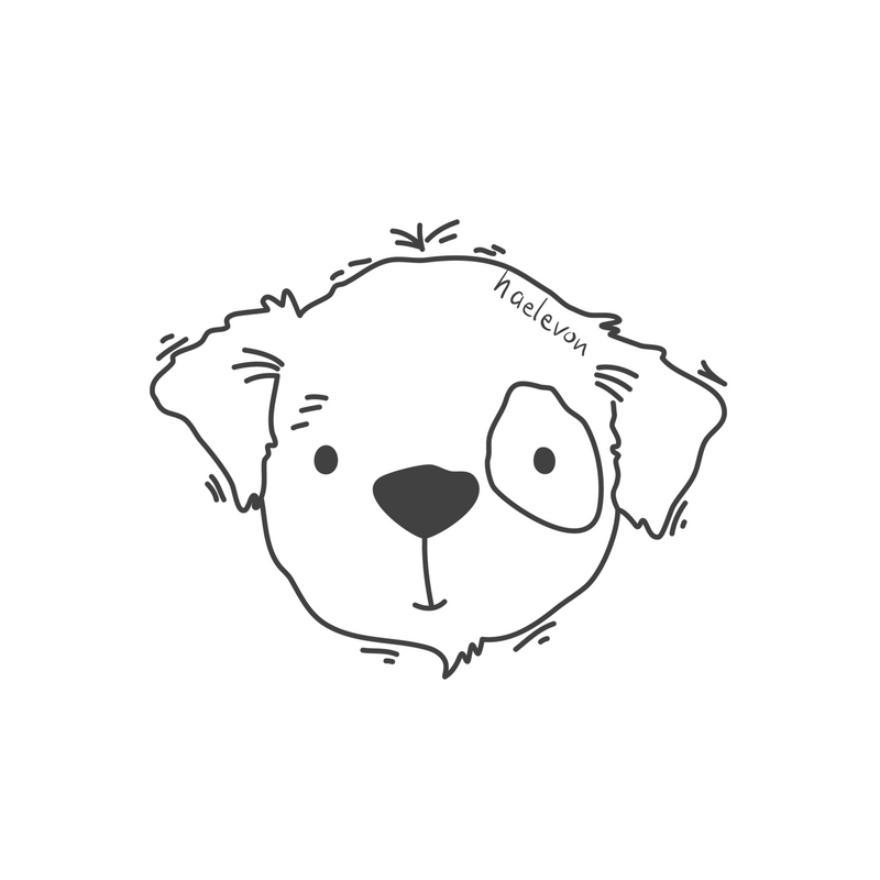 Hund