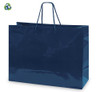 Tiara Gloss-Laminated Bag