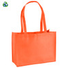 Franklin Tote