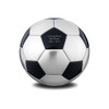 Soccer Ball Cremation Urn - Matt Black and Brushed Pewter