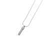 Double Chamber Cylinder Pendant - 2 Finishes