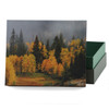 Explorer Misty Autumn Scattering Urn