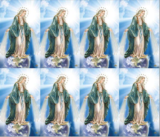 Caldo Gold Series 12