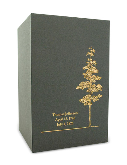 Acadia Black Slate Cremation Urn