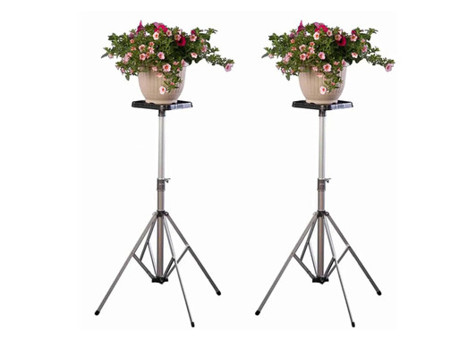 Type D Stand - Set of 2