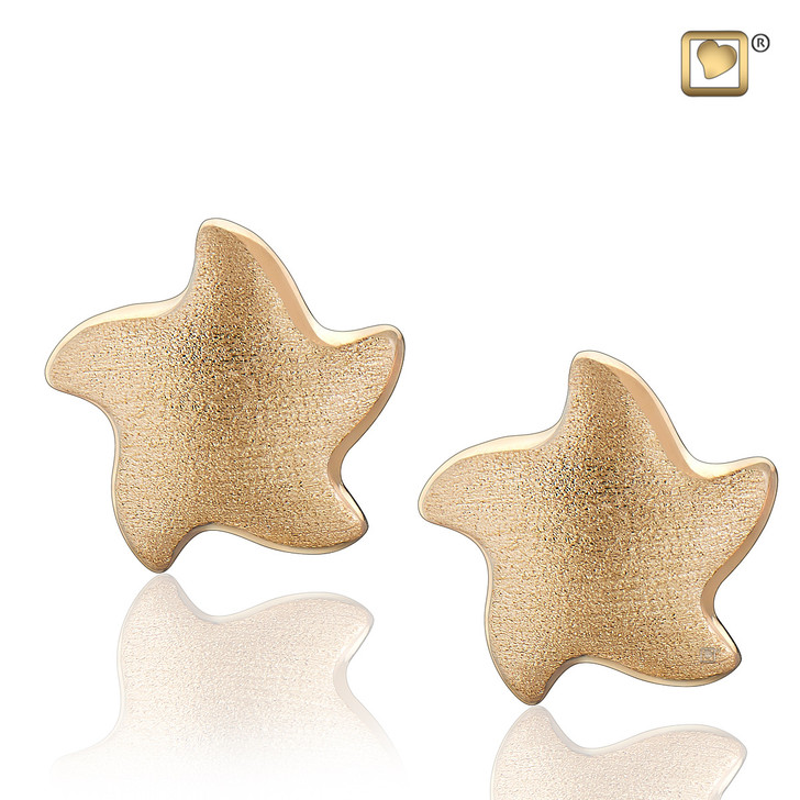 Angelic Star Gold Vermeil Two Tone Earrings