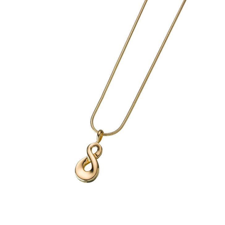 Infinity Pendant - 2 Finishes