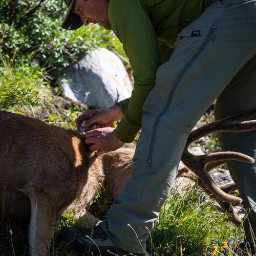 Stone Glacier De Havilland Lite Pant in Tarmac