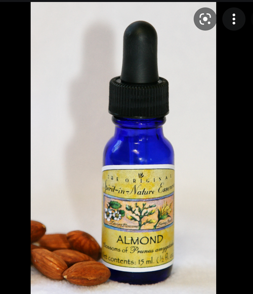 SPIRIT IN NATURE ALMOND 1 oz