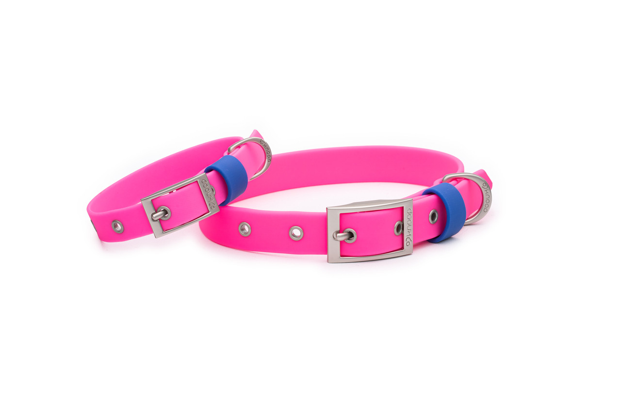 hot pink collar