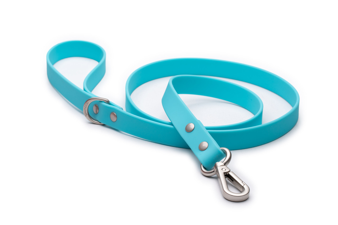 Leash in BioThane®️, turquoise - Créations Tanzo