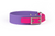 Grape Berry | Pop Collar