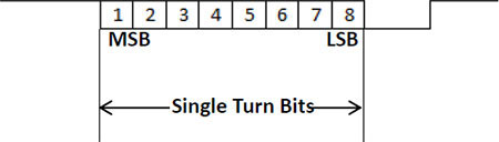 Single Turn Data Format