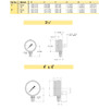 700LFSS 40 02L D 100 Trerice 700 Series Industrial Pressure Gauge Dimensions