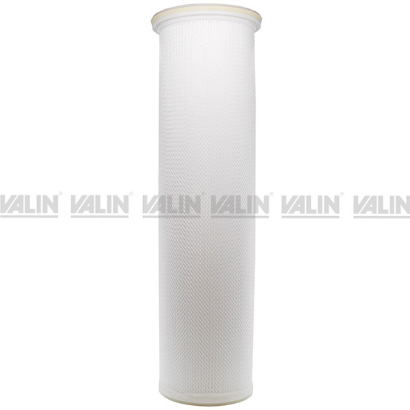 GLR PO 825 2 Rosedale Giardia Filter Cartridge Valin